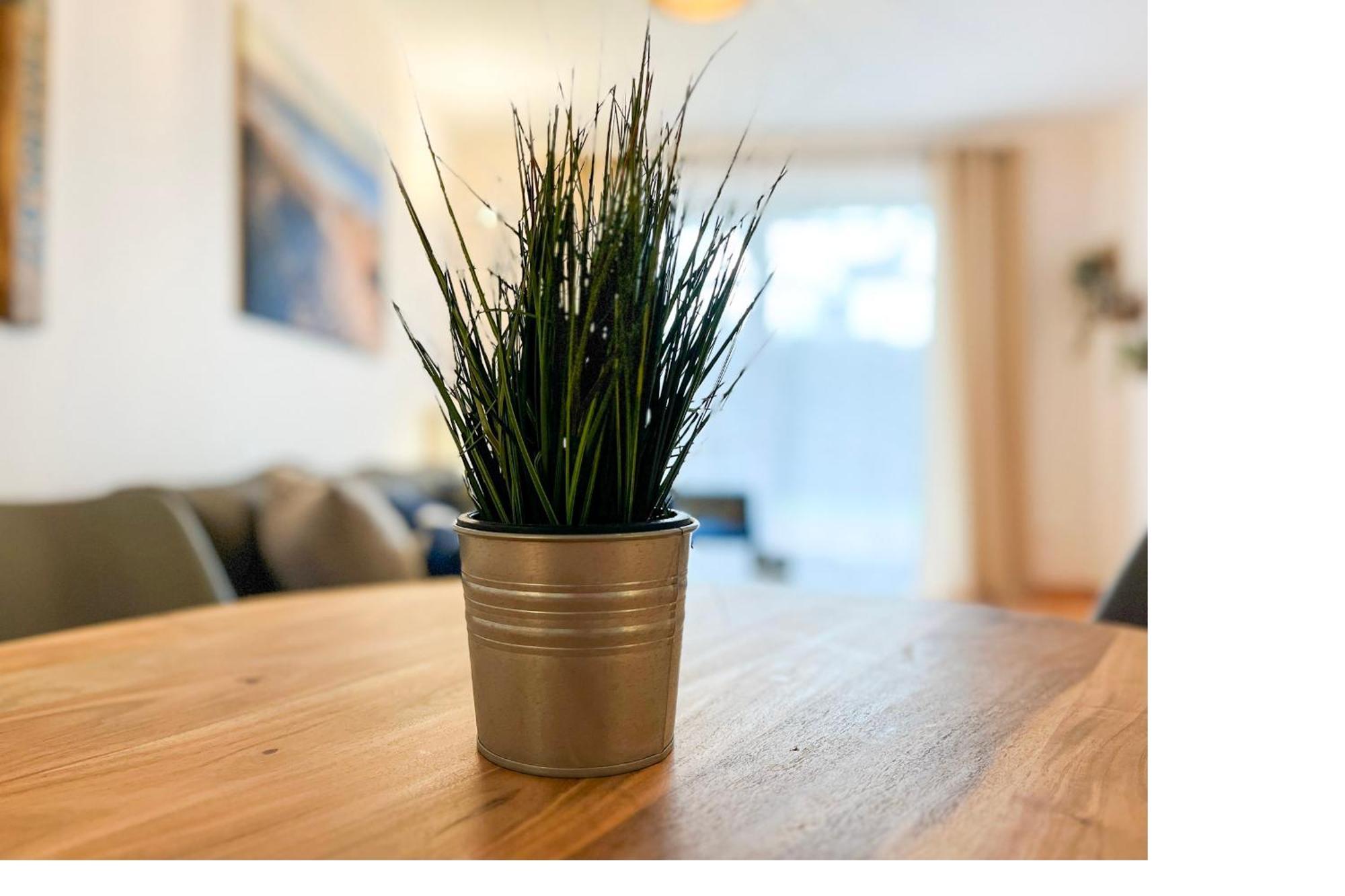 Hanse-Hof Wohnung 05 Boltenhagen  Dış mekan fotoğraf
